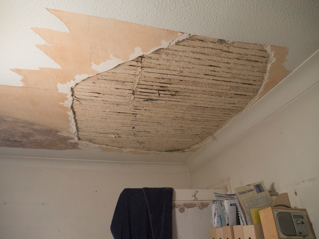 attic leak repair