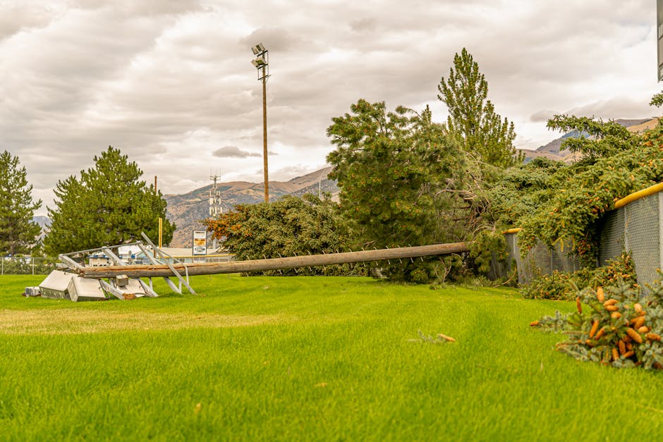 storm damage repair