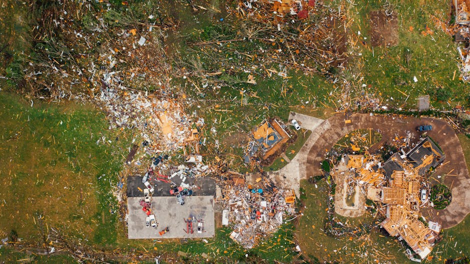 storm damage specialists